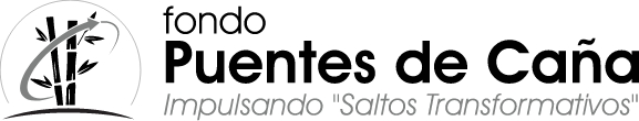Logo Aliado Puentes de Cana